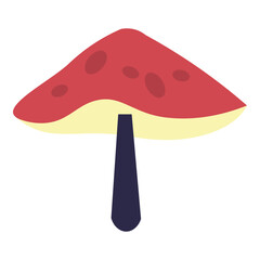 mushroom on a white