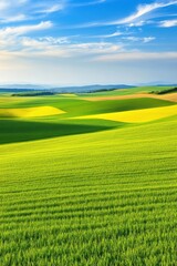 Fototapeta premium Lush green fields under bright blue sky at midday in rural landscape