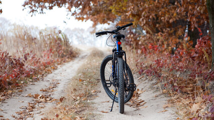 Fototapeta premium Mountain bike. stands on a forest road. concept of cycling, repair or breakage, sports, outdoor activities. bike on trail, rear wheel in focus. ride through the autumn park. cycling
