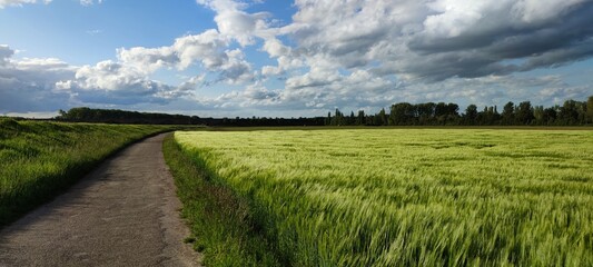 landscape with clouds