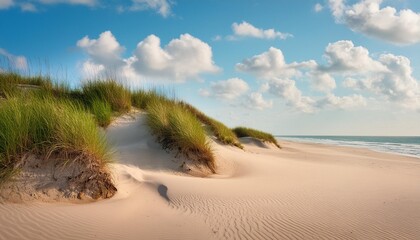 beach sand dunes in new smyrna beach in sunny day florida