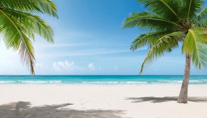 seamless looping animation of empty summer tropical beach with coconut palms summer travel concept 3d animation