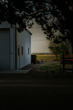 Idaho dusk farm shed with field background