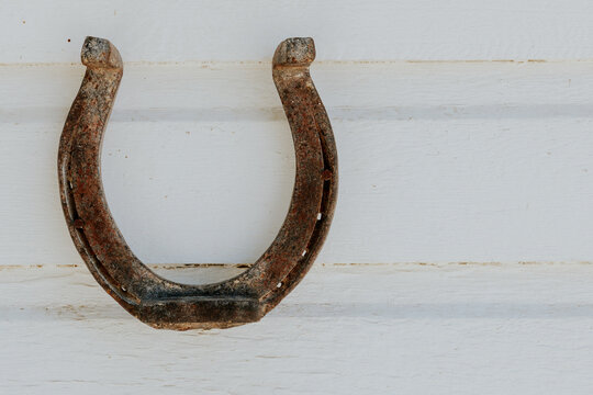 Idaho Farm Horseshoe