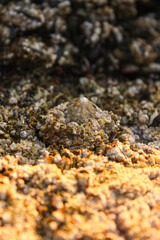 Felsen am Meer