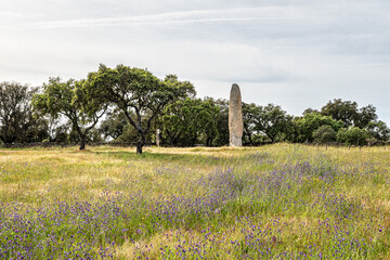 The Standing Stone, Menhir of Meada at Castelo de Vide, Portugal. The largest of the Iberian Peninsula.