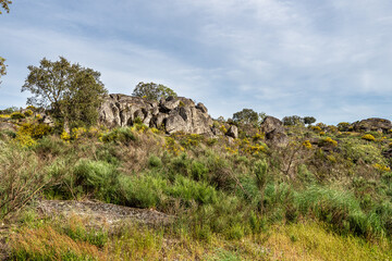 Driving through Parque Natural da Serra de Sao Mamede. Alentejo. Portugal. Cork trees natural resources Landscape.