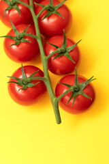 Red cherry tomatoes with green branch on yellow background	