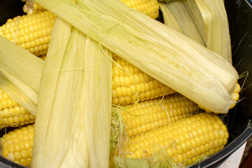 Closeup view of a boiled corn on the cob	
