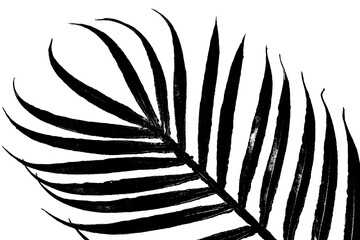 close up of the golden palm branch leaf