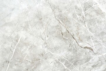 Fototapeta premium A close-up shot of a beautiful white marble floor with intricate patterns and designs