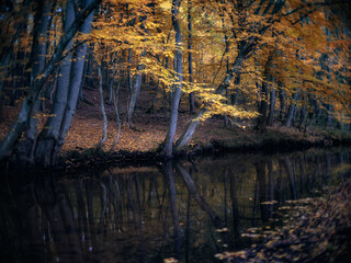 Jesień nad rzeką © Robert