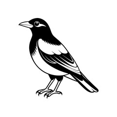 A cute bird silhouette vector