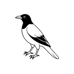 A cute bird silhouette vector