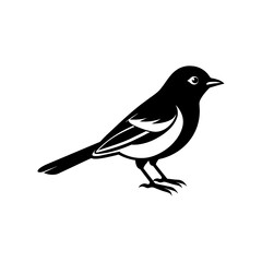 Obraz premium A cute bird silhouette vector