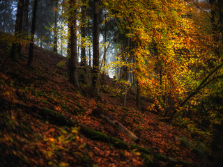 Fototapeta premium Jesień na pomorzu