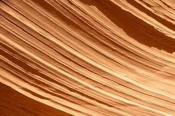Closeup of the eroded wall of a sandstone cliff