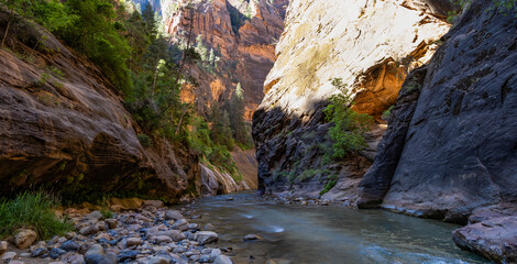 A panorama of the Narrows in Zion National Park.