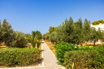 Pedestrian alley in hotel with tropical trees and olive trees against mountains in Crete, Greece.