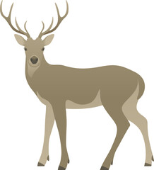 Color illustration of deer or reindeer with antlers looking at camera, side view. Wild animal standing, isolated on white background.