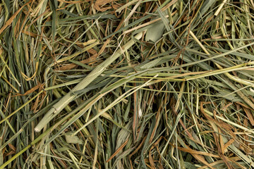 Dehydrated Dried Grass for hay production in agriculture