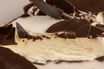 natural eco-friendly ice cream in chocolate glaze lies on a plate