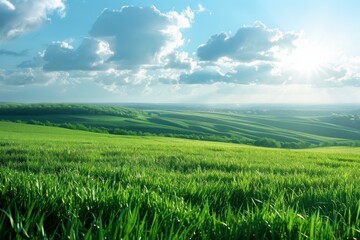Panoramic Vista of a Lush Landscaped Meadow, Capturing the Serene Essence of Nature's Rolling Greens and Open Skies