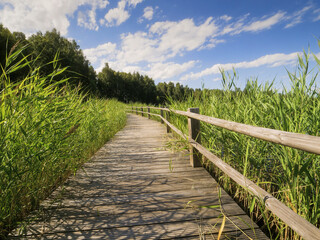 A wooden boardwalk foot path runs along the edge of a lake. The water is calm and the sky is clear. Warm sunny day vibe. Green grass on a side. Park design and outdoor activity