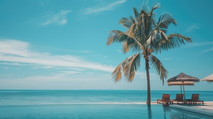 A palm tree situated next to a swimming pool, perfect for outdoor decor or vacation scenes