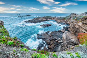 Point Lobos State Natural Reserve, Carmel, Monterey County, California, United States of America