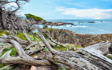Point Lobos State Natural Reserve, Carmel, Monterey County, California, United States of America