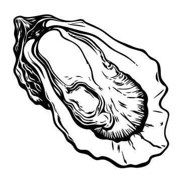 recommend clip art: Oyster Black Vector Illustration with Pearl
