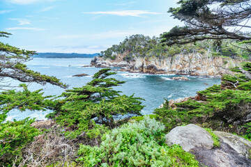 Point Lobos State Natural Reserve, Carmel, Monterey County, California, United States of America