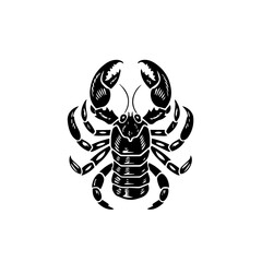 Scorpion Vector Illustration