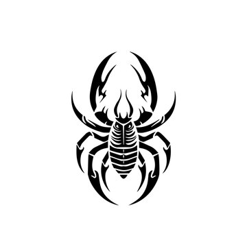 recommend clip art: Scorpion Vector Illustration