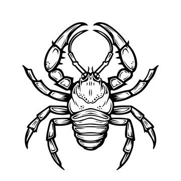 recommend clip art: Scorpion Vector Illustration