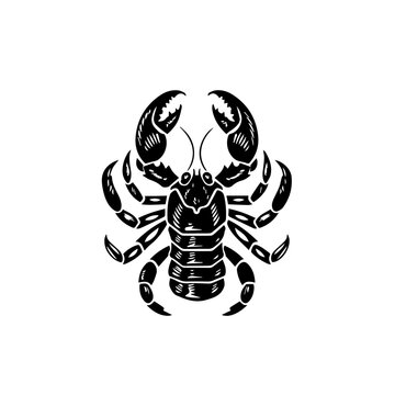 recommend clip art: Scorpion Vector Illustration