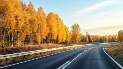Roadside scenery featuring a highway with golden autumn trees lining the roadside
