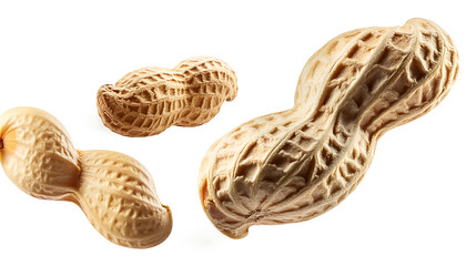 small and large peanut floating isolated on white background
