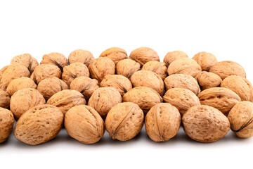 brown walnuts in shell side view