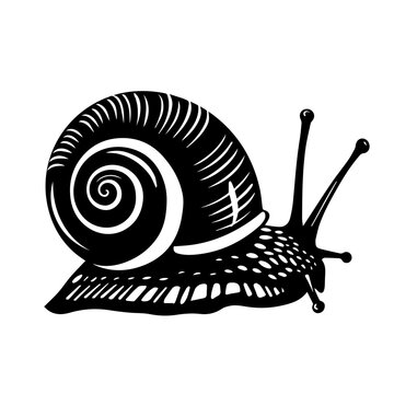 recommend clip art: Snail  Black Vector Illustration