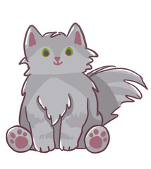 Cute grey cat sitting