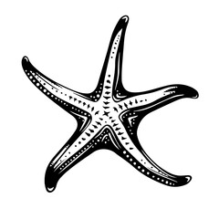 Starfish Black Vector Illustration