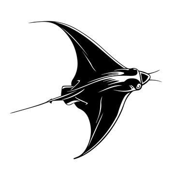 recommend clip art: Stingray Black Vector Illustration