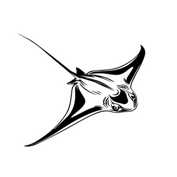 recommend clip art: Stingray Black Vector Illustration
