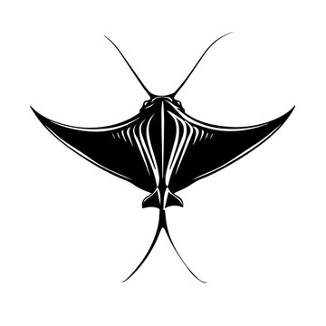 recommend clip art: Stingray Black Vector Illustration