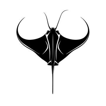 recommend clip art: Stingray Black Vector Illustration