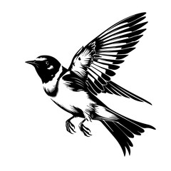  Swallow Bird Black Vector Illustration