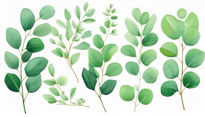 Obraz premium Watercolor green bouquet with eucalyptus leaves and branches. Greenery leaf hand-painted isolated. Can be used as being an element in the decorative design of invitation, wedding or greeting cards.