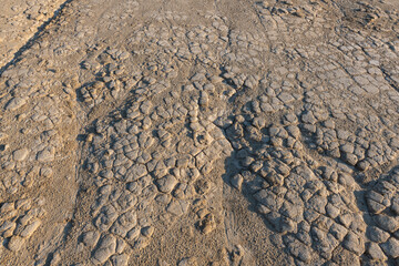 Dried mud texture. Dried mud waves from the mud volcanos site in Berca, Buzau, Romania.
